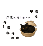 わが家の鍋ねこ（個別スタンプ：8）
