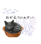 わが家の鍋ねこ（個別スタンプ：12）