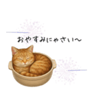 わが家の鍋ねこ（個別スタンプ：14）