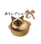 わが家の鍋ねこ（個別スタンプ：17）