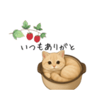わが家の鍋ねこ（個別スタンプ：18）