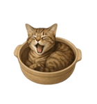 わが家の鍋ねこ（個別スタンプ：24）
