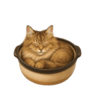 わが家の鍋ねこ（個別スタンプ：25）