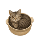 わが家の鍋ねこ（個別スタンプ：27）