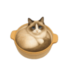 わが家の鍋ねこ（個別スタンプ：29）