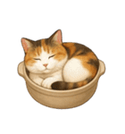 わが家の鍋ねこ（個別スタンプ：30）