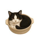 わが家の鍋ねこ（個別スタンプ：31）
