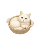 わが家の鍋ねこ（個別スタンプ：33）