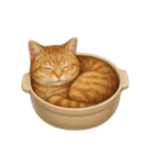 わが家の鍋ねこ（個別スタンプ：34）
