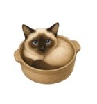 わが家の鍋ねこ（個別スタンプ：37）