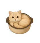 わが家の鍋ねこ（個別スタンプ：38）