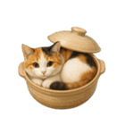 わが家の鍋ねこ（個別スタンプ：40）