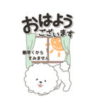 やさしいビションフリーゼ『仕事＆連絡』（個別スタンプ：1）