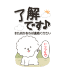 やさしいビションフリーゼ『仕事＆連絡』（個別スタンプ：10）