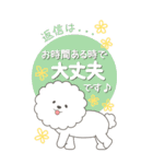 やさしいビションフリーゼ『仕事＆連絡』（個別スタンプ：27）