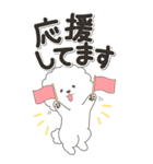 やさしいビションフリーゼ『仕事＆連絡』（個別スタンプ：31）