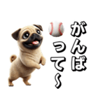 パグ×野球！可愛すぎる！（個別スタンプ：27）