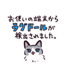 ラグドールです。2（個別スタンプ：4）