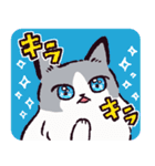 ラグドールです。2（個別スタンプ：6）