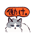 ラグドールです。2（個別スタンプ：14）