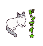 ラグドールです。2（個別スタンプ：23）