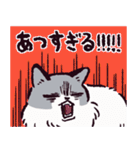 ラグドールです。2（個別スタンプ：25）