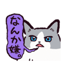 ラグドールです。2（個別スタンプ：31）