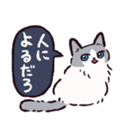ラグドールです。2（個別スタンプ：36）