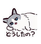ラグドールです。2（個別スタンプ：39）