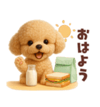 【3D】毎日使える挨拶♡トイプードル（個別スタンプ：1）
