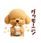 【3D】毎日使える挨拶♡トイプードル（個別スタンプ：2）