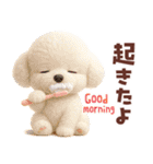 【3D】毎日使える挨拶♡トイプードル（個別スタンプ：3）