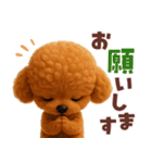 【3D】毎日使える挨拶♡トイプードル（個別スタンプ：12）