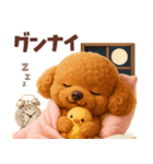 【3D】毎日使える挨拶♡トイプードル（個別スタンプ：36）