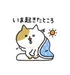 ゆるゆるニャンコの状況報告（個別スタンプ：2）