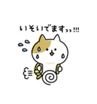 ゆるゆるニャンコの状況報告（個別スタンプ：7）
