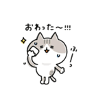 ゆるゆるニャンコの状況報告（個別スタンプ：17）