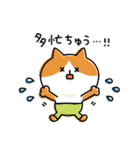 ゆるゆるニャンコの状況報告（個別スタンプ：28）