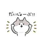 ゆるゆるニャンコの状況報告（個別スタンプ：37）