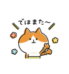 ゆるゆるニャンコの状況報告（個別スタンプ：40）