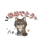 『ラガマフィン』のスタンプ（個別スタンプ：13）