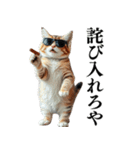 【ネタ・爆笑】極道のヤクザになった子猫（個別スタンプ：27）