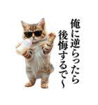 【ネタ・爆笑】極道のヤクザになった子猫（個別スタンプ：33）