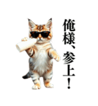 【ネタ・爆笑】極道のヤクザになった子猫（個別スタンプ：37）