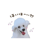 つきかちゃん♡スタンダード（個別スタンプ：3）