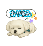 マルチーズあつし スタンプ（個別スタンプ：7）