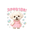 かわいいマルチーズの日常会話スタンプ3（個別スタンプ：4）