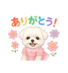 かわいいマルチーズの日常会話スタンプ3（個別スタンプ：13）