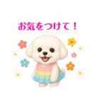 かわいいマルチーズの日常会話スタンプ3（個別スタンプ：27）