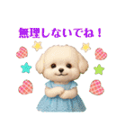 かわいいマルチーズの日常会話スタンプ3（個別スタンプ：31）